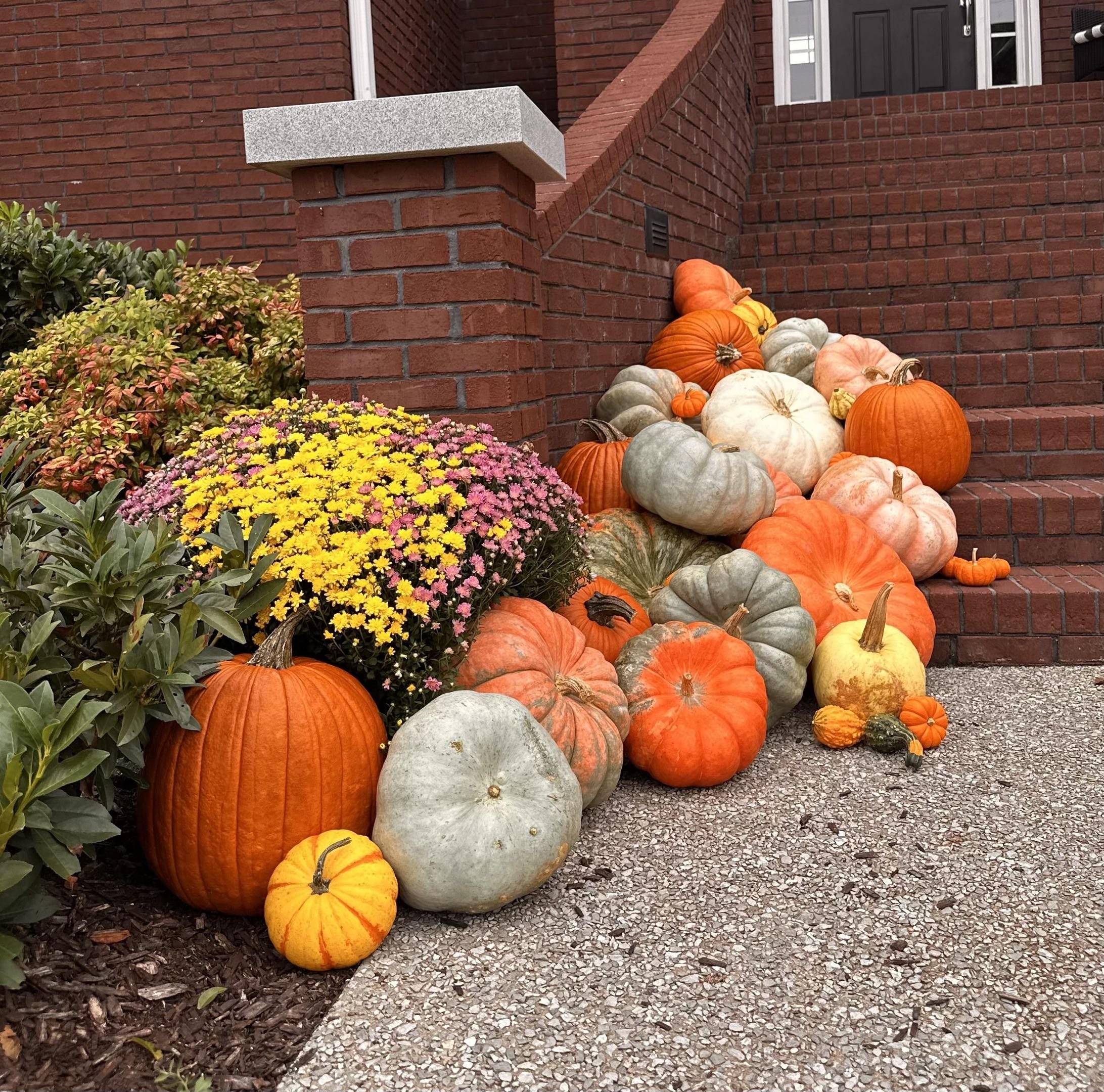 Close-up of pumpkins and mums on brick stairs